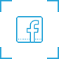 Facebook Ads 
